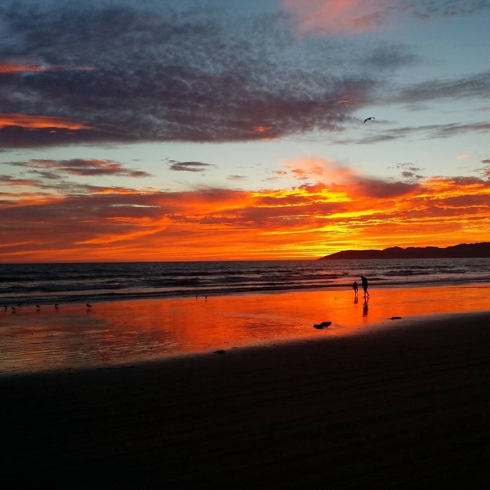 Meet your Posher, Ripsik